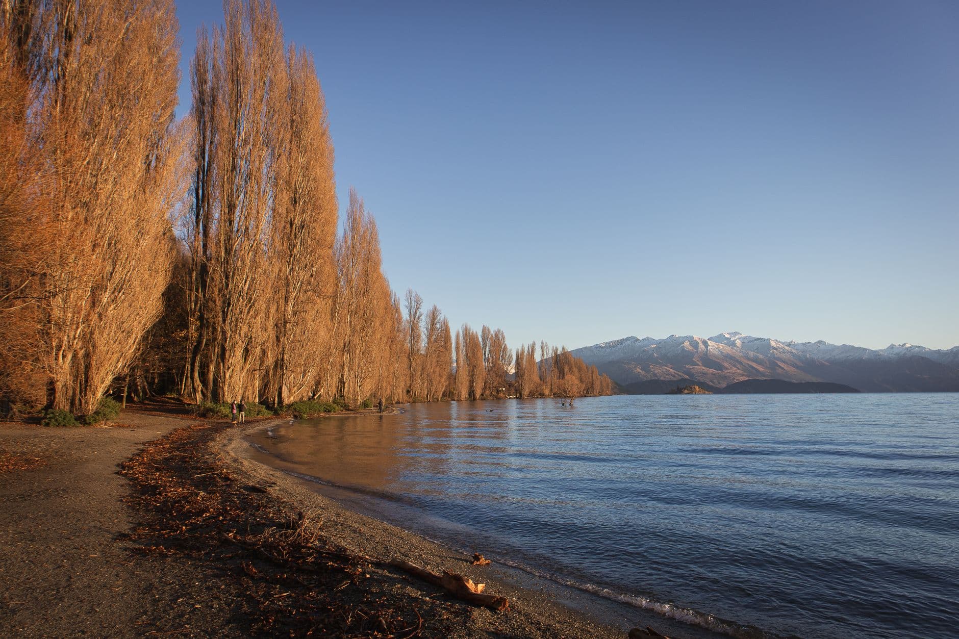 Autumn trees beside Lake Wakatipu with mountains beyond